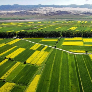 农业土地整平篇